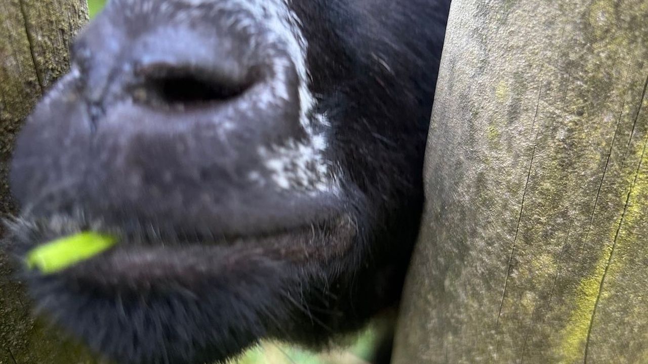 Landschaft Landschaft